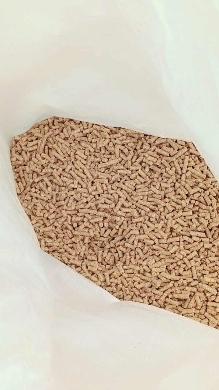 Fish (ikan puyo)